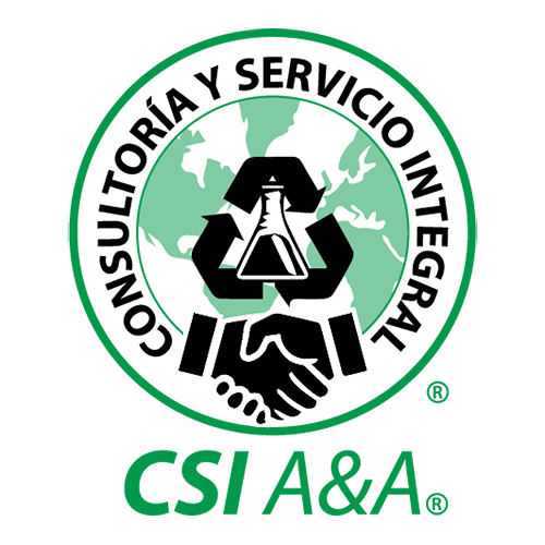 Consultoría y Servicio Integral, CSI A&A